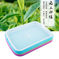 Hydroponic Seed Sprouting Tray with Double Layer for Wheatgrass and Microgreens