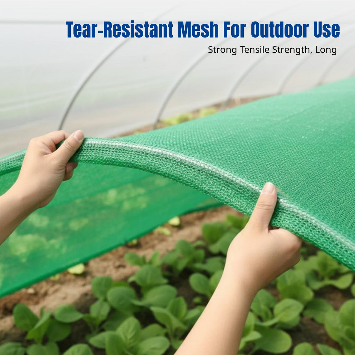 Green Shade Mesh, Sun Protection, Dustproof, Heat Insulation, PE, for Construction, Greenhouse, Farm