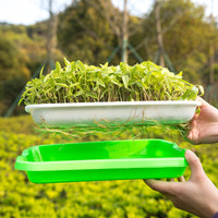 Hydroponic Seed Sprouting Tray with Double Layer for Wheatgrass and Microgreens