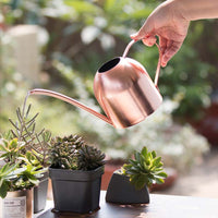 Stainless Steel Long Spout Watering Can for Indoor Plants, 500ml