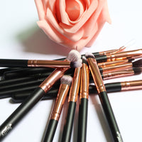 12-Piece Matte Black Eye Makeup Brush Set with Storage Bag
