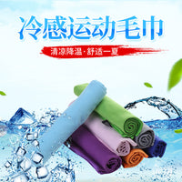 Custom Logo Quick Dry Microfiber Travel Towel for Outdoor Sports