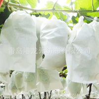 UV-Resistant Agricultural Non-Woven Fabric for Seedling Cultivation and Fruit Protection