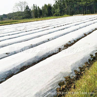 UV-Resistant Agricultural Non-Woven Fabric for Seedling Cultivation and Fruit Protection