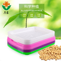 Hydroponic Seed Sprouting Tray with Double Layer for Wheatgrass and Microgreens
