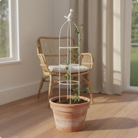 Sturdy Climbing Plant Support Stable Flower Trellis Stand Easy to Assemble for Gardeners, Garden, Balcony, Patio