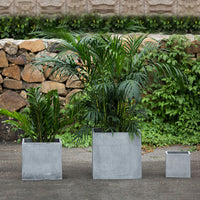 Nordic Style Square Cement Planter for Indoor Outdoor Plants