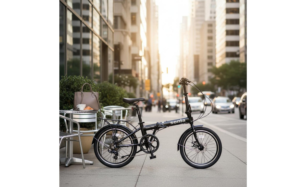 20 Inch Folding Cycle Aluminum Alloy Frame Cycling Equipment Fenders Included