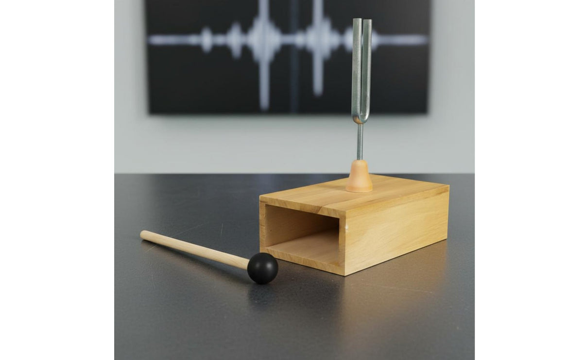 Includes Mallet 256Hz Tuning Fork Vibration Box High-Quality Steel Tuning Fork with Vibration Box Chrome-Plated Acoustic Wave Demonstration Kit for Students, Teachers, Classroom, Science Laboratory