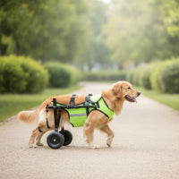Padded Dog Wheelchair with Back-Leg Support Stable Dog Wheelchair with 2 Wheels Lightweight Rehabilitation Cart Long-Lasting for Disabled Dogs
