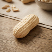 Bumpy Peanut Compress Toy Soft Slow Rebound Toy Sensory Stress Relief Compress Ball Realistic for Desk Breaks