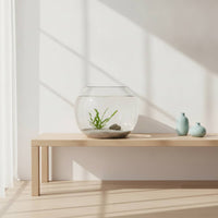 Glass Bowl with Thickened Body Versatile Spherical Fishes Bowl Easy to Clean Glassware for Simplicity Lovers, Tabletop, Desk