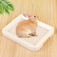 Dry Feet Guinea Pig Litter Tray, Litter Pan with Grate for Bunny and Chinchilla, Washable Flat Toilet Pan, 25 x 19.5 x 3 cm Size