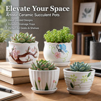 succulent planters