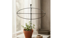 Pointed Spike Circular Hoop Plant Stake Ball Top Round Plant Support Stake Welded Hydrangea Support Hoop Dark Finish