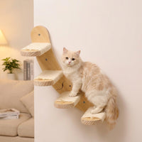 Cat Climbing Wall with Wood Shelf and Perch, Modern Indoor Frame Featuring House and Textured Surface, Wall Mounted Treads for Large Kitten Play