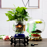 Spherical Glass Fish Tank for Office and Home Decor, Creative Hydroponic Round Small Turtle Tank