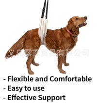 Dog Mobility Harness for Hind Leg Support