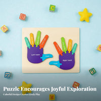 Finger Counting Board Early Development Finger and Toe Learning Puzzle Develops Fine Motor Skills Color and Number Puzzle for Classroom, Homeschooling