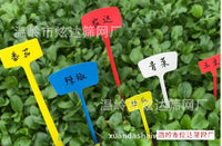 Thickened Plastic T-Type Plant Labels for Garden Flowers and Succulents