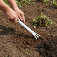 Stainless Steel Bonsai Rake Garden Tool for Soil Loosening and Weeding