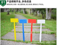 Thickened Plastic T-Type Plant Labels for Garden Flowers and Succulents