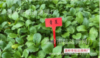 Thickened Plastic T-Type Plant Labels for Garden Flowers and Succulents