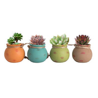 Mini Ceramic Succulent Planter with Hemp Rope Hanger, Creative Wall-Mounted Flower Pot for Indoor Decor
