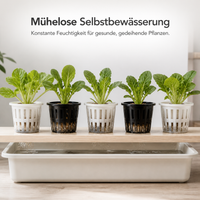 Hydroponic Net Pots for Soilless Cultivation, Fruit, Vegetable, and Flower Root Fixing, Moisture Retention, Wall-Mounted Planters