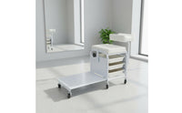Salon Rolling Workstation Simple Pedicure Trolley Space Saving Lash Trolley for Beauticians