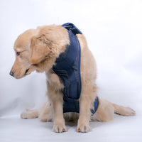 Pet Dog Lift Harness for Senior Dogs, Walking Aid Support Sling for Injured or Elderly Pets
