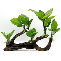 Artificial Driftwood Anubias Aquarium Decor