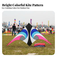Weifang Kite Long-Lasting Single Line Kite Easy to Fly for Park, Adults