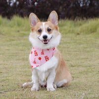 Pet Birthday Party Bandana Adjustable Dog Scarf for Celebrations