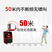 Wireless Handheld Microphone for Teaching, Live Streaming, and Voice Amplification with Noise Reduction