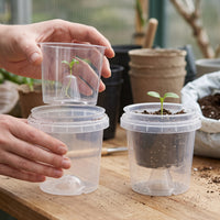 Transparent Orchid Pot with Ventilation, Root Control, and Outer Pot for Seedling Cultivation