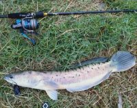 Portable Carbon Fiber 4-Piece Casting/Spinning Fishing Rod for Travel