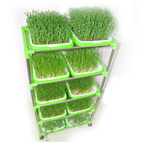 Hydroponic Seed Sprouting Tray Kit with Stainless Steel Stand, Self-Watering Seedling Germination System