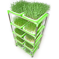 Hydroponic Seed Sprouting Tray Kit with Stainless Steel Stand, Self-Watering Seedling Germination System