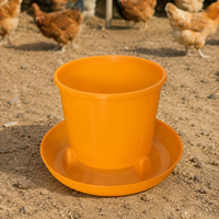 poultry feeder