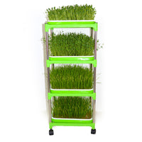 Hydroponic Seed Sprouting Tray Kit with Stainless Steel Stand, Self-Watering Seedling Germination System