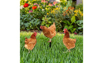 3 Pieces Chicken Garden Stake Weatherproof Acrylic Chicken Stake Decorations Waterproof Farmhouse for Gardeners, Lawn