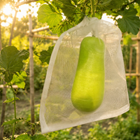 White Vegetable Garden Netting, Reusable for Vegetable Crops, Vegetable and Plant Protection in PE, 5-Year Lifespan