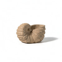 Mineral Conch with Hollow Top Handcrafted Beach Conch Statue Sculptural Decor for Coffee Table