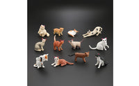 12 Pieces Collectible Cat Figurines Assorted Miniature Cat Figures Tiny Miniatures Painted for Crafters, Desk Decor