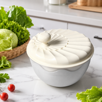 Manual Salad Spinner, Kitchen Helper for Washing and Drying Salad, Large Capacity 24.3x22.3x20cm, White