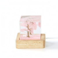 Whimsical Resin Night Light Warm Resin Cube Light Compact Lamp with Wooden Base Dreamy for Bedroom
