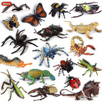 Kids' Educational Insect and Animal Figurines with Observation Box for Halloween and Sand Table Scenes