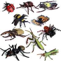 Kids' Educational Insect and Animal Figurines with Observation Box for Halloween and Sand Table Scenes