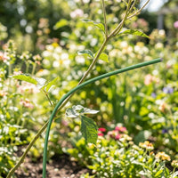 plant supports for outdoor plants, pea plant, green, metal, steel, outdoor plants, bendable